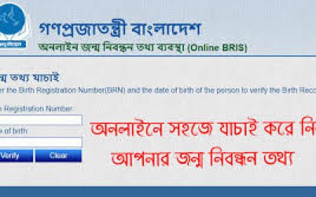 সহজে অনলাইন জন্ম নিবন্ধন যাচাই করুন