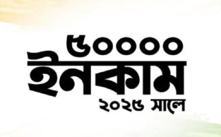 ২০২৫ সালে মাসে ৫০ হাজার টাকা ইনকাম করার সহজ উপায়