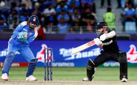 Ind vs nz final 2025 dream11 prediction