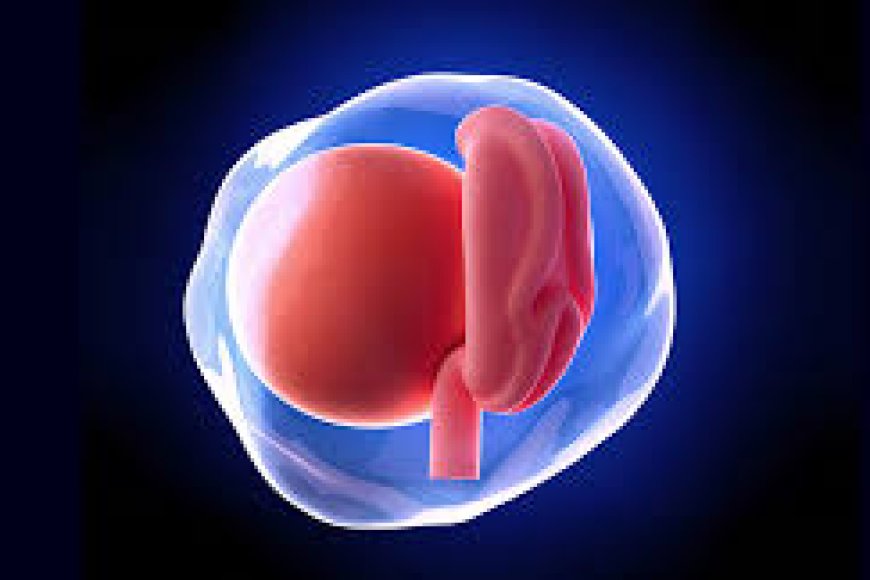 গর্ভবতী হওয়ার লক্ষণ কত দিন পর বোঝা যায়